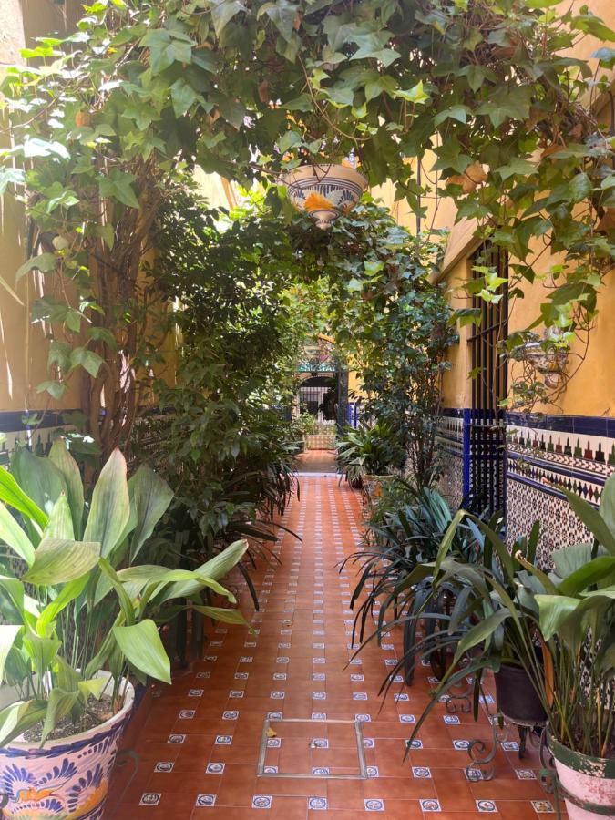 Hostal Atenas Seville Ngoại thất bức ảnh